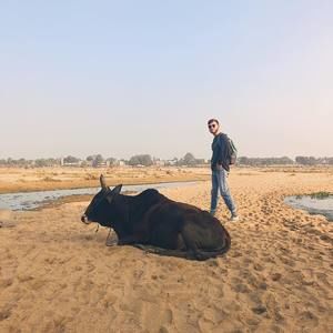 Meet your Posher, Jake